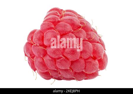 Framboise isolée sur fond blanc. Gros plan sur les baies rouges. Le fichier contient un chemin d'écrêtage. Banque D'Images