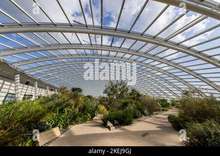 Le jardin botanique national du pays de Galles, Pembrokeshire, pays de Galles, Royaume-Uni Banque D'Images