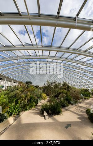 Le jardin botanique national du pays de Galles, Pembrokeshire, pays de Galles, Royaume-Uni Banque D'Images