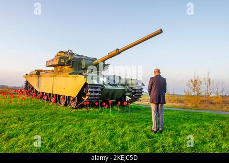 Leyland. Météo Royaume-Uni. 13 novembre 2022. Un homme âgé rend hommage aux morts devant un ancien char Centurion de l'armée britannique, qui se tient au rond-point reliant Flensburg Way et Penwortham Way sur un monticule décoré de coquelicots pour une cérémonie du jour du souvenir pour ceux qui ont perdu la vie au service de leur pays. Il est équipé de la célèbre caisse britannique QF 17-Pounder montée sur une nouvelle coque en pente. Crédit; MediaWorldImages/AlamyLiveNews Banque D'Images