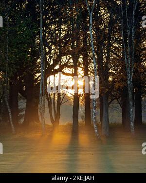 Parcours de golf Duddingston, Édimbourg, Écosse, Royaume-Uni. 13 novembre 2022. Misty commencer pour ceux dehors pour l'exercice sur le terrain de golf avec la température d'un plus normal 8 degrés centigrade après le chaud non saisonnier de la fin. Crédit : Arch White/alamy Live News. Banque D'Images