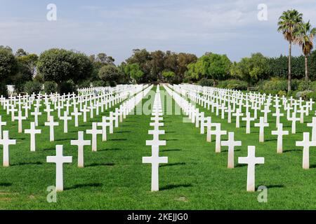 Cimetière américain d'Afrique du Nord, en hommage aux victimes de la guerre mondiale de 2. Pierres tombales blanches et champs verts entretenus Mémorial et souvenir des combattants Banque D'Images