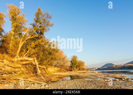 Parc national Donau-Auen, Parc national du Danube-Auen: rivière Donau (Danube), vue sur la ville de Hainburg et la montagne Schlossberg avec château, sho proche de la nature Banque D'Images