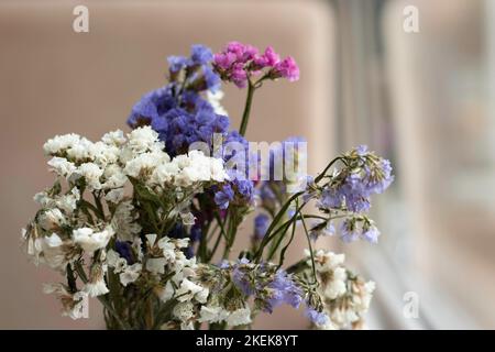 beau bouquet de petites fleurs près de la fenêtre, fleurs de différentes couleurs Banque D'Images