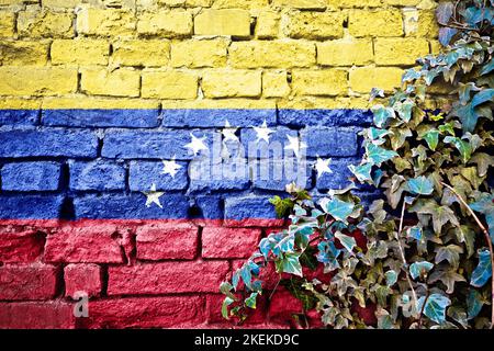 Le Venezuela grunge drapeau sur mur de briques avec usine de lierre, symbole de pays concept Banque D'Images