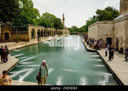 Les touristes et les pèlerins à la mosquée Halil UL Rahman à Urfa, Sanliurfa, Turquie avec la piscine Balikligol Banque D'Images