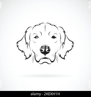 Vecteur de tête de chien (Golden Rretriever) sur fond blanc. Animaux de compagnie. Animaux. Logo ou icône de chien. Illustration vectorielle superposée facile à modifier. Illustration de Vecteur