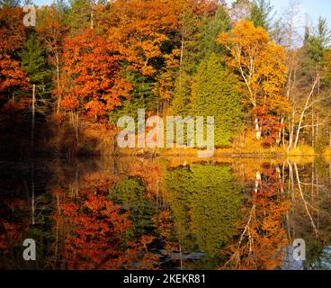 Reflet brillant des couleurs d'automne rouge, jaune, orange et vert flamboyantes dans le Michigan supérieur, reflétées dans l'eau de l'étang. Banque D'Images