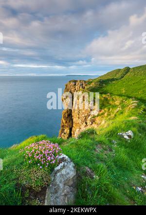 Vue sur la côte d'Antrim près du village de Dunseverick. Irlande du Nord. Banque D'Images