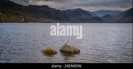 Sculpture de pierres centenaires à Calfclose Bay, Derwentwater, English Lake District. La sculpture célèbre le centenaire du National Trust. Banque D'Images