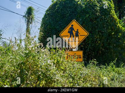 Un panneau de signalisation surcultivé sur le bord de la route montrant le passage des enfants. Banque D'Images