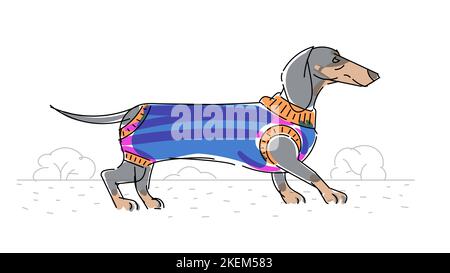 Dachshund dans un chandail pour les chiens sur une promenade, le vecteur minimaliste dawing Illustration de Vecteur