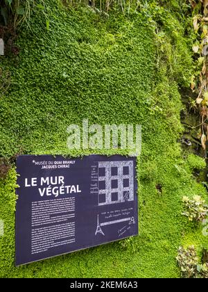 Mur vivant vert, Musée du quai Branly - Jacques Chirac, Paris, France, Europe. Banque D'Images