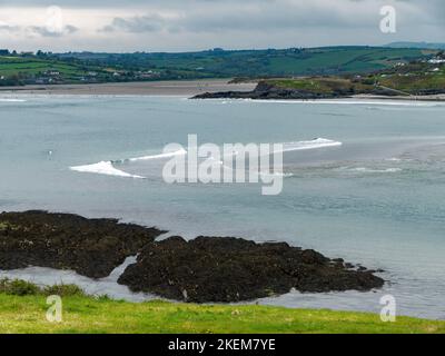 Vue sur la baie de Clonakilty par jour nuageux. Herbe épaisse près de la mer. Le littoral de l'Irlande. Paysage de bord de mer. Temps nuageux. Banque D'Images