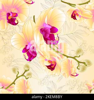 Texture sans couture branches orchidées fleurs jaunes plante tropicale Phalaenopsis sur un fond de nature vintage vecteur illustration botanique pour desi Illustration de Vecteur