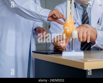 Les ligaments autour de la cheville, le modèle osseux sur le bureau tandis que le médecin mâle adulte conseillant au jeune médecin femelle. Deux médecins en uniforme blanc parlant un Banque D'Images