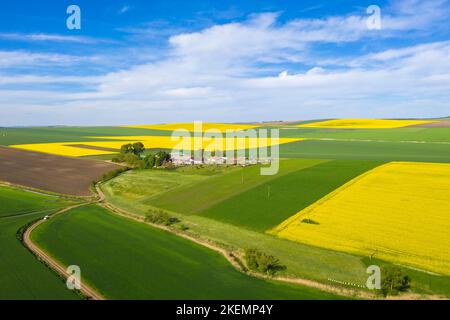 Ferme agricole entourée de champs cultivés, de céréales et de colza, vue d'en haut Banque D'Images