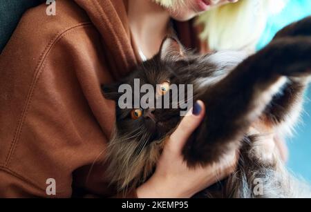 Une adolescente embrassant un chat à la maison. Banque D'Images