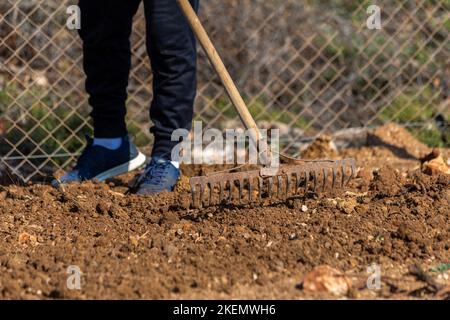 Dans le jardin l'homme qui rake. Banque D'Images