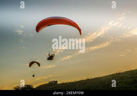 Beachy Head, Eastbourne, East Sussex, Royaume-Uni. 13th novembre 2022. Le vent du sud ramène les pilotes de parapente sur le site glorieux des Sussex Downs à l'ouest d'Eastbourne. Crédit : David Burr/Alay Live News Banque D'Images