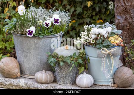 aménagement de jardin avec fleurs d'automne blanches dans des seaux et des citrouilles d'époque Banque D'Images