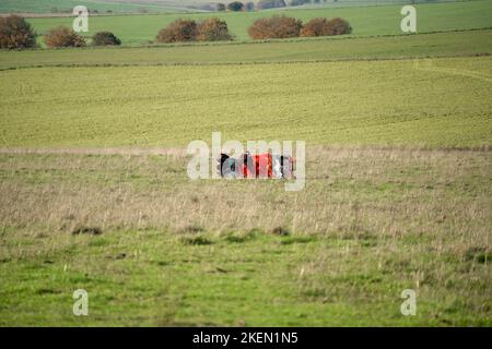 Un parachutiste rassemblant le parachute ayant atterri dans une prairie Banque D'Images