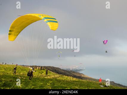 Beachy Head, Eastbourne, East Sussex, Royaume-Uni. 13th novembre 2022. Le vent du sud ramène les pilotes de parapente sur le site glorieux des Sussex Downs à l'ouest d'Eastbourne. Crédit : David Burr/Alay Live News Banque D'Images