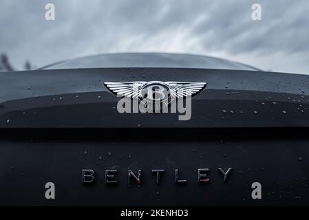 Logo Bentley Flying B sur la voiture Banque D'Images