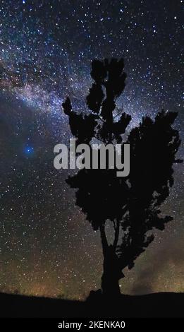 Milky Way et Tree dans les montagnes. Banque D'Images