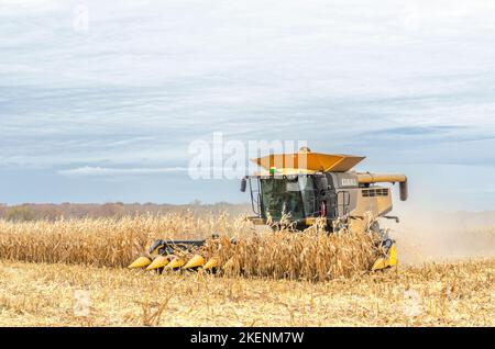 Récolte du maïs. Moissonneuse-batteuse Claas Lexion 740. Livingston Comté. Geneseo, New York Banque D'Images