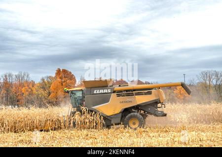 Récolte du maïs. Moissonneuse-batteuse Claas Lexion 740. Livingston Comté. Geneseo, New York Banque D'Images