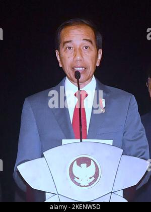 Bali, Indonésie. 13th novembre 2022. Le président indonésien Joko Widodo s'adresse aux journalistes lorsqu'il arrive au Sommet de G20 à l'aéroport international Ngurah Rai à Tuban, dans la région de Badung regency, sur l'île balnéaire indonésienne de Bali, dimanche, 13 novembre 2022. Photo du Président indonésien Service de presse/UPI crédit: UPI/Alay Live News Banque D'Images