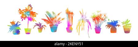Collection biologique de plantes de maison plates colorées. Ensemble de plantes de maison en pots. Illustration vectorielle. Illustration de Vecteur