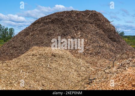 Monticules de paillis à base de copeaux de bois, de feuilles et de brindilles. Banque D'Images