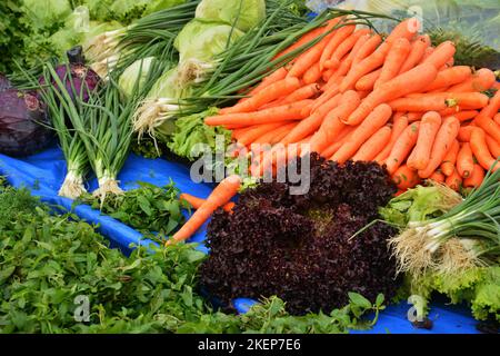 TUR, Turkey, West Coast: Tourists encounter impressive evidence of Roman and also Greek history on a round trip through western Turkey and to the Stock Photo