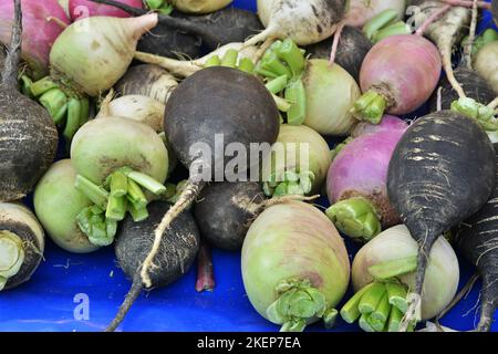 TUR, Turquie, Côte Ouest : les touristes rencontrent des preuves impressionnantes de l'histoire romaine et grecque lors d'un aller-retour à travers la Turquie occidentale et à la Banque D'Images
