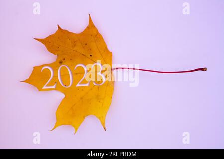 Feuilles d'automne, objets avec le numéro 2023. Motifs naturels, motifs colorés. Banque D'Images