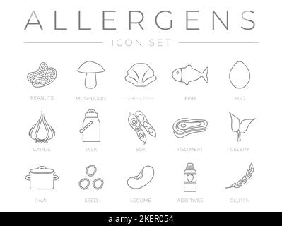 Ensemble d'icônes allergènes Outline. Arachides, champignons, mollusques, poissons, œufs, Ail, lait, viande de soja, céleri, aliments crus, Graines, légumineuses et additifs gluten aller Illustration de Vecteur