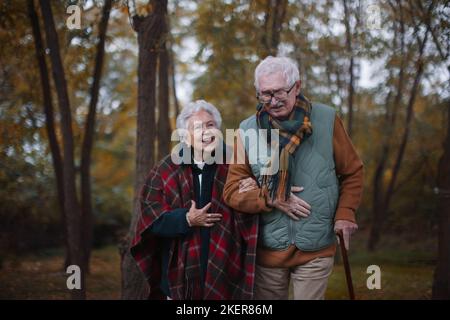 Couple senior marchant ensemble dans la forêt d'automne. Banque D'Images