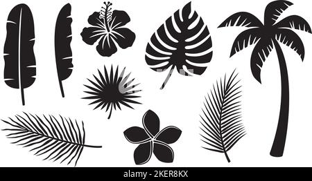 Collection de plantes tropicales Icons (Hibiscus, Banana Leaf, palmier, Monstera, Frangipani Flower). Illustration vectorielle. Illustration de Vecteur