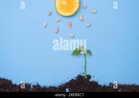 Les nuages et les gouttes de pluie tombent sur les semis verts. Illustration de plantation. Pousses vertes sous la pluie. Arrêter le mouvement des plantes en croissance. Idées écologiques Banque D'Images