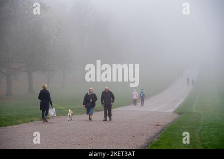 Windsor, Berkshire, Royaume-Uni. 14th novembre 2022. Un matin brumeux sur la longue promenade de Windsor. Après une belle journée ensoleillée hier, c'était une matinée brumeuse à Windsor, dans le Berkshire. Un avertissement météorologique jaune pour brouillard a été émis par le Bureau du met jusqu'en 10am ce matin. Crédit : Maureen McLean/Alay Live News Banque D'Images