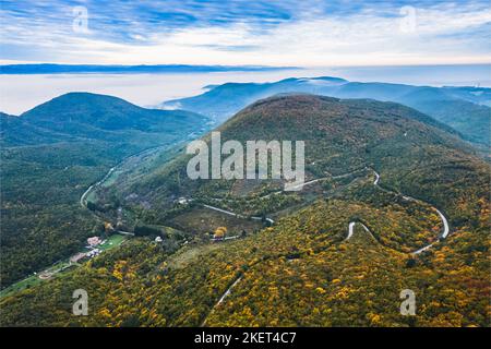 Vue panoramique sur les montagnes couvertes de forêts dans l'aura d'automne. Automne sur les montagnes avec un épais brouillard matinal en arrière-plan. Un windi Banque D'Images