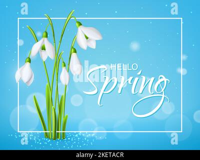 Fond de source de fleurs de neige. Mars fleurs blanches réaliste couverture vectorielle ou papier peint, jardin plante arrière-plan. Fête des mères bannière de vacances de printemps, toile de fond avec de douces fleurs de neige Illustration de Vecteur