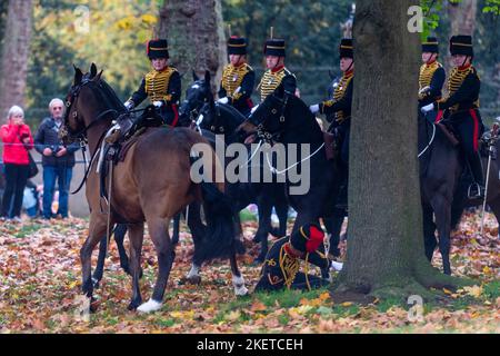 Londres, Royaume-Uni. 14 novembre 2022. Un membre de la troupe du roi Royal Horse Artillery est lancé de son cheval arrivant pour le tir d’un fusil Royal Salute de 41 dans Green Park pour marquer l’anniversaire du roi Charles en 74th. Credit: Stephen Chung / Alamy Live News Banque D'Images