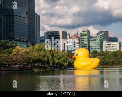 Séoul, Corée du Sud - octobre 2011 : le projet de canard de caoutchouc dans L'APPAREIL PHOTO NUMÉRIQUE de Séoul Banque D'Images