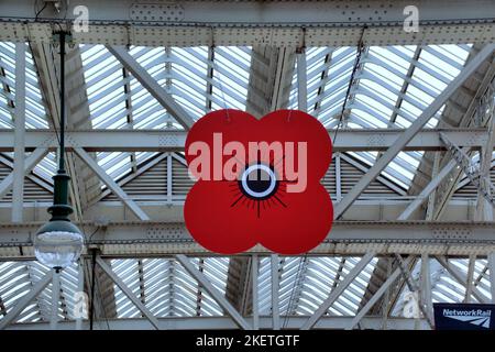 Des coquelicots rouges géants suspendus du toit de la gare centrale pour armistice et souvenir dimanche Banque D'Images