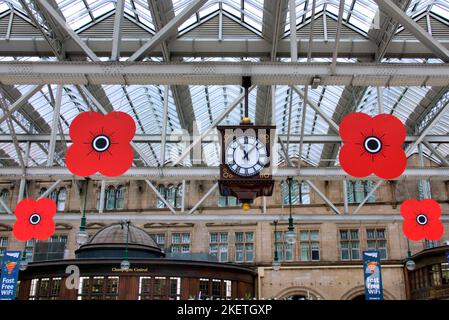 Des coquelicots rouges géants suspendus du toit de la gare centrale pour armistice et souvenir dimanche Banque D'Images