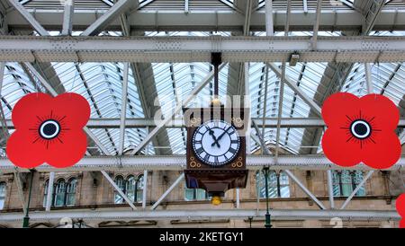 Des coquelicots rouges géants suspendus du toit de la gare centrale pour armistice et souvenir dimanche Banque D'Images