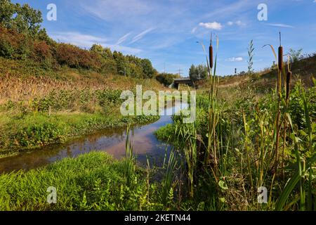 Bottrop-Gladbeck, Rhénanie-du-Nord-Westphalie, Allemagne - l'affluent de l'Emscher, Renaturalisé Boye, a été transformé en une cène quasi naturelle Banque D'Images